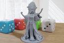 Ramussa the Ancient Profet - 3D Printed Minifigure - Proxy Minis for DnD, Baldurs Gate, Tabletop Fantasy RPG - 28mm / 32mm