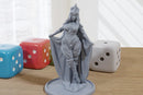 Dark Iriel - 3D Printed Minifigure - Proxy Minis for DnD, Baldurs Gate, Tabletop Fantasy RPG - 28mm / 32mm