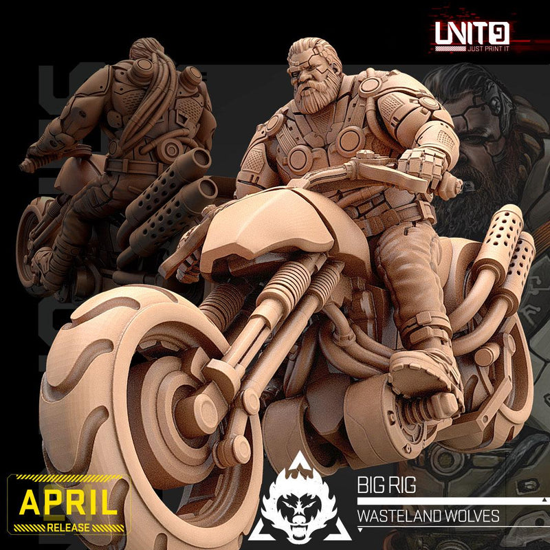 Wasteland Wolves - 3D Printed Bikers - Cyberpunk / Sci-Fi - Tabletop Miniature Wargaming - 28mm / 32mm Scale Minifigures